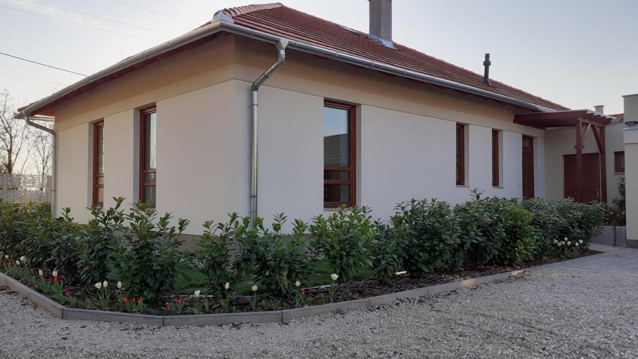 Bibic Apartman A Kapolnasnyek Exterior foto